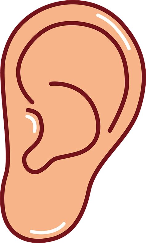 clipart ears|ear clip art transparent.